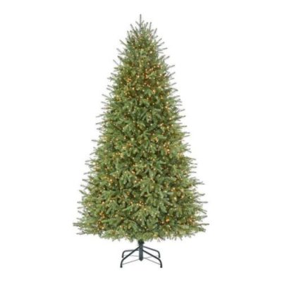 Home Decorators 7 5 Christmas Tree Grand Duchess Balsam Fir Color 